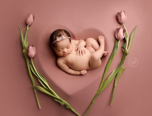 Aubrey- Walpole Newborn Photographer