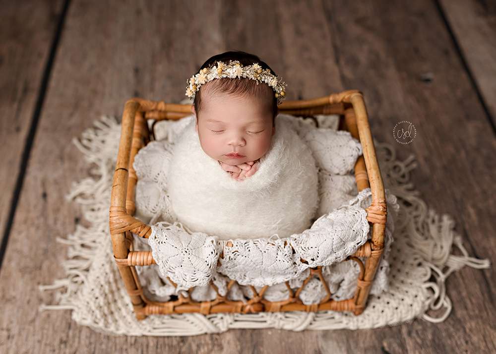 Boston MA Newborn Portraits, newborn baby photography, professional infant photos