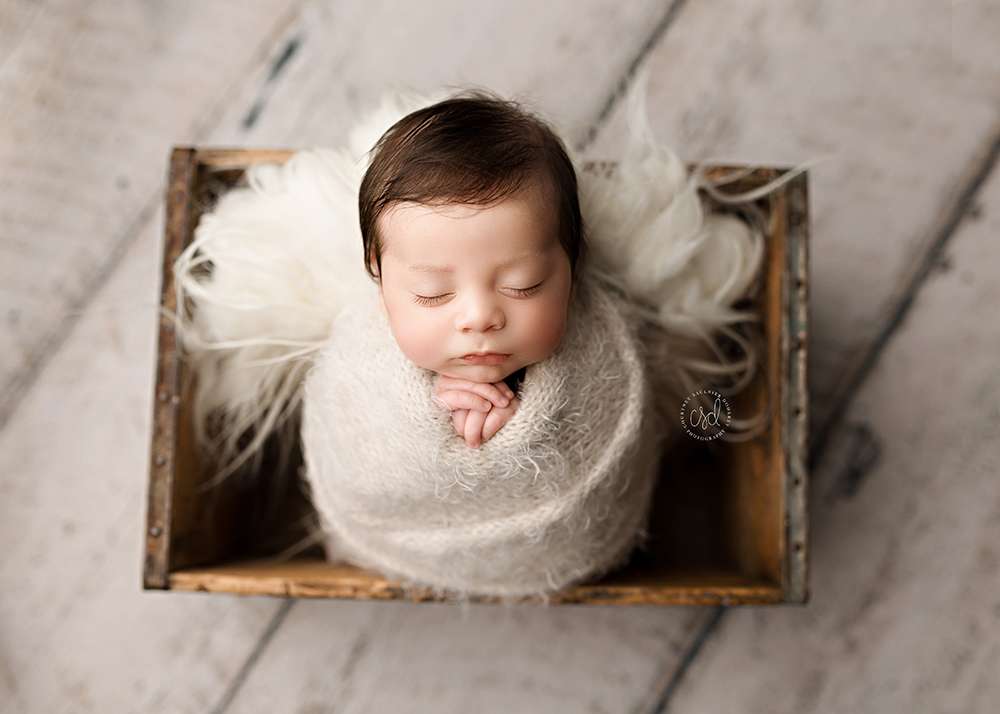 Newborn Photography Session