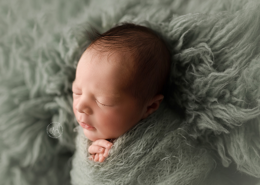 boston infant photographer, infant portraits near me, best infant photography