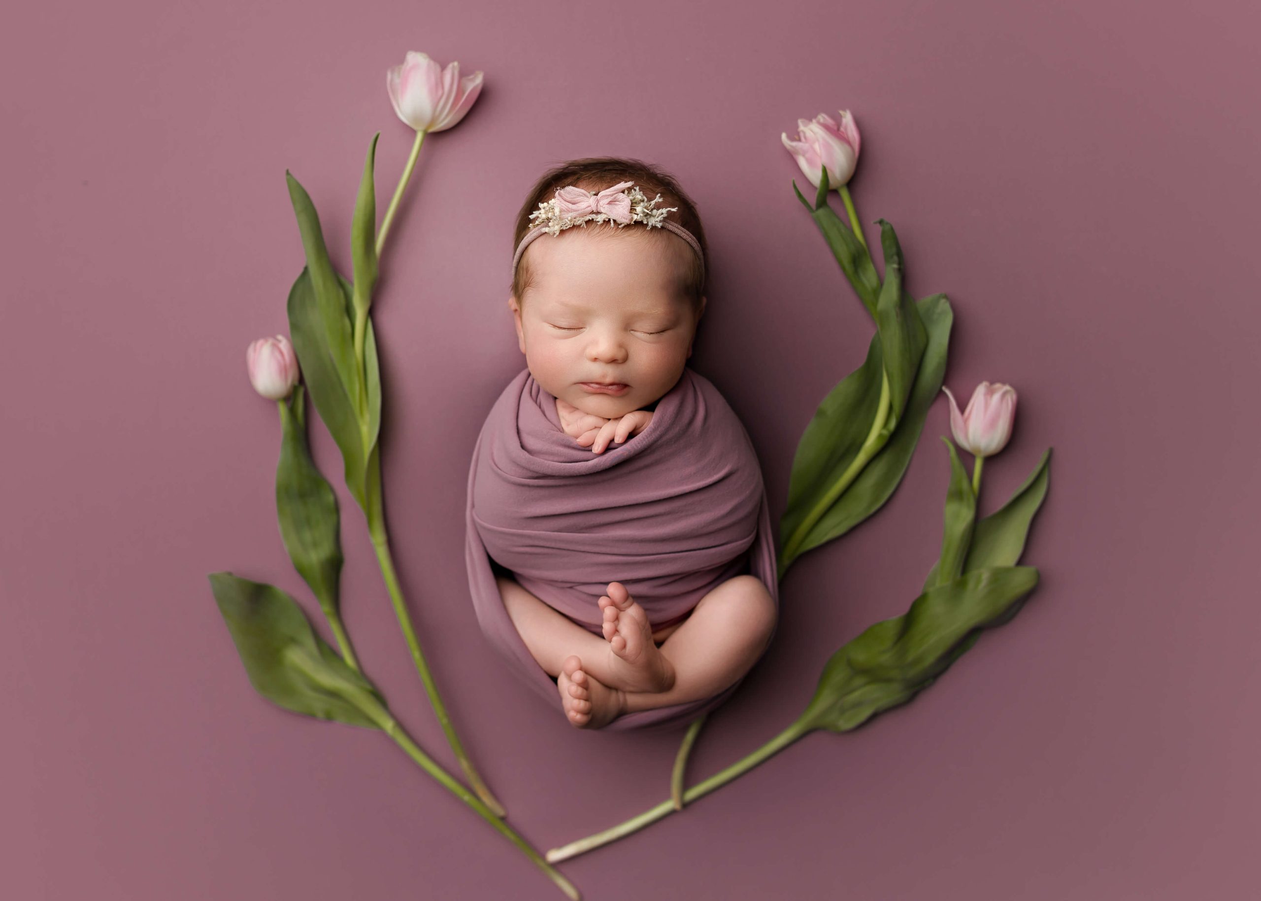 Baby Portrait Studio In Boston, best newborn portraits Boston